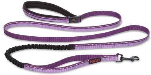 Company of Animals Halti All In One Lead for Dogs Purple (size: small)