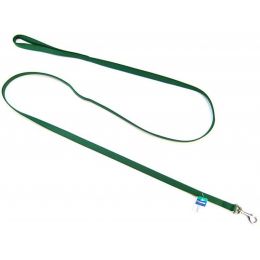 Coastal Pet Nylon Lead - Hunter Green (size: 6' Long x 5/8" Wide)