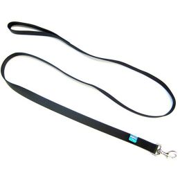 Coastal Pet Single Nylon Lead - Black (size: 6' Long x 1" Wide)