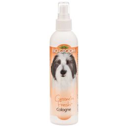 Bio Groom Groom N Fresh Cologne (size: 8 oz)