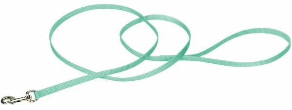 Coastal Pet Single-ply Nylon Dog Leash Teal (size: 4'L x 3/8"W)