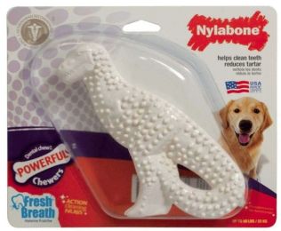 Nylabone Dinosaur Dental Dog Chew Chicken Flavor (size: 1 Count)