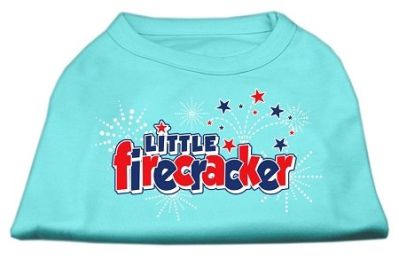 Little Firecracker Screen Print Shirts (Color: Aqua, size: XXXL)