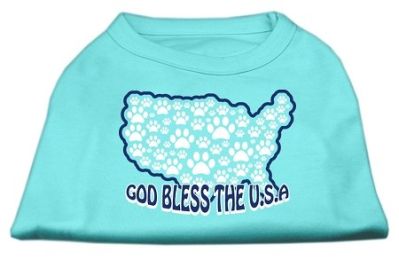 God Bless USA Screen Print Shirts (Color: Aqua, size: XXXL)