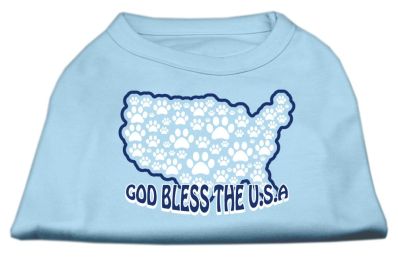 God Bless USA Screen Print Shirts (Color: Baby Blue, size: XXXL)